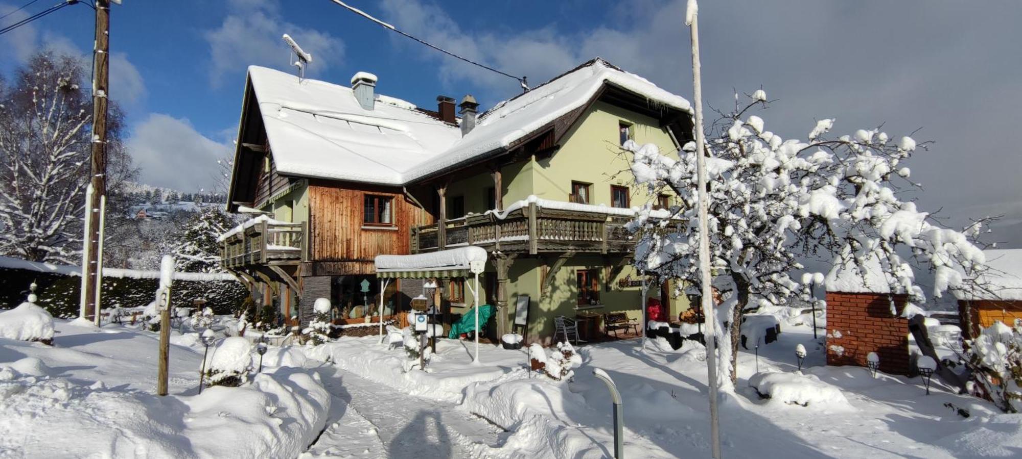 Hotel Les 4 Saisons Kruth